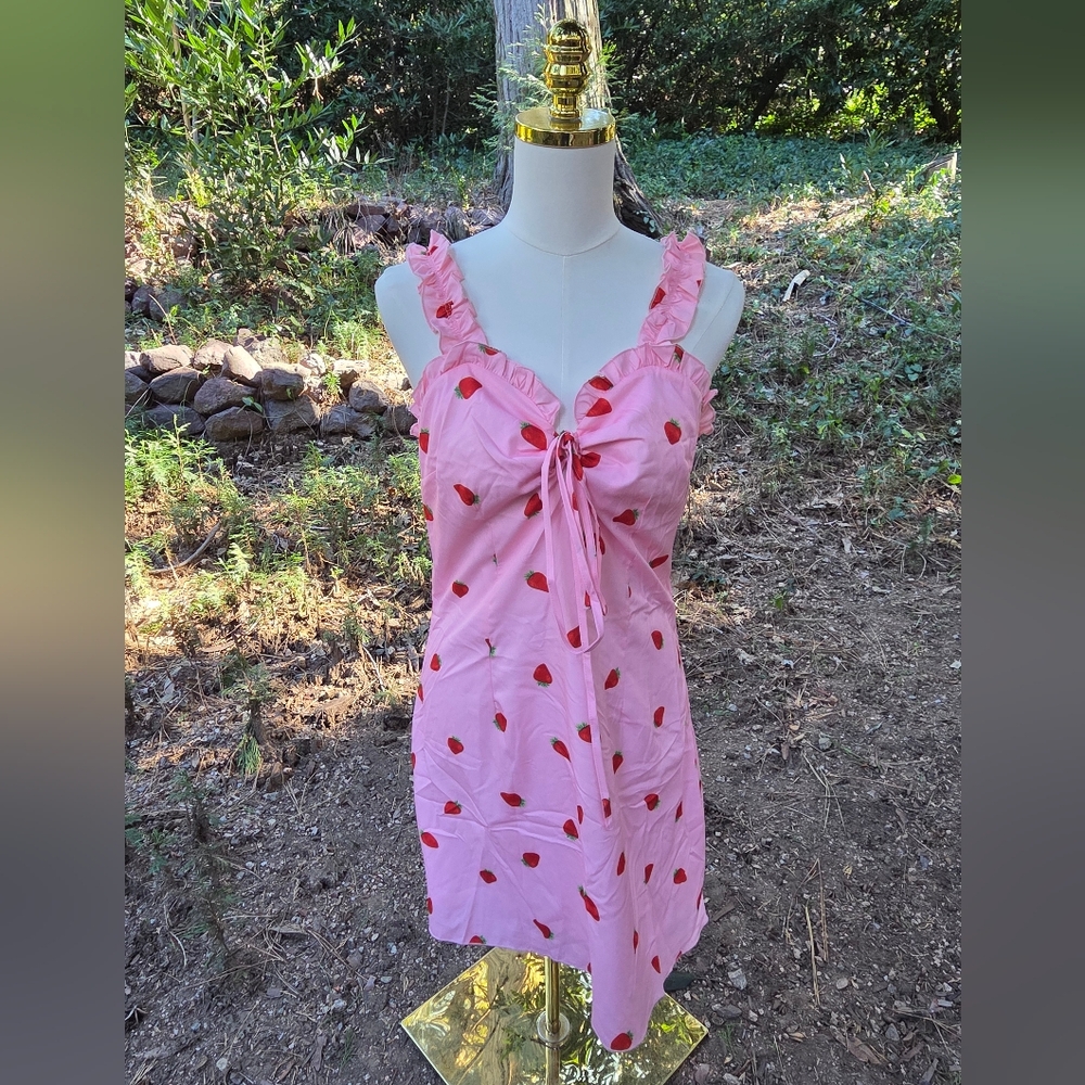 Shein Pink Valentines‎ Dress with Strawberry Print